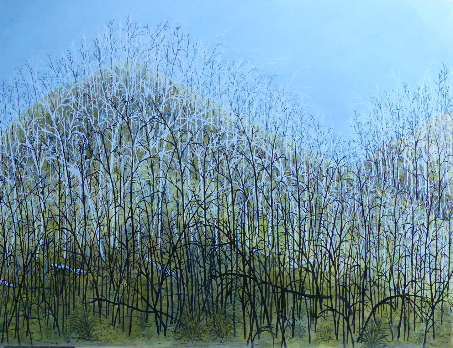 Untitled #4 | Shunyam Smith