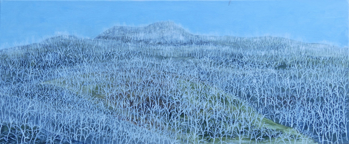 Untitled #10 | Shunyam Smith