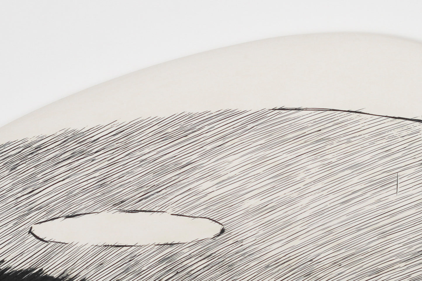 Ascent 5 | Robyn Campbell