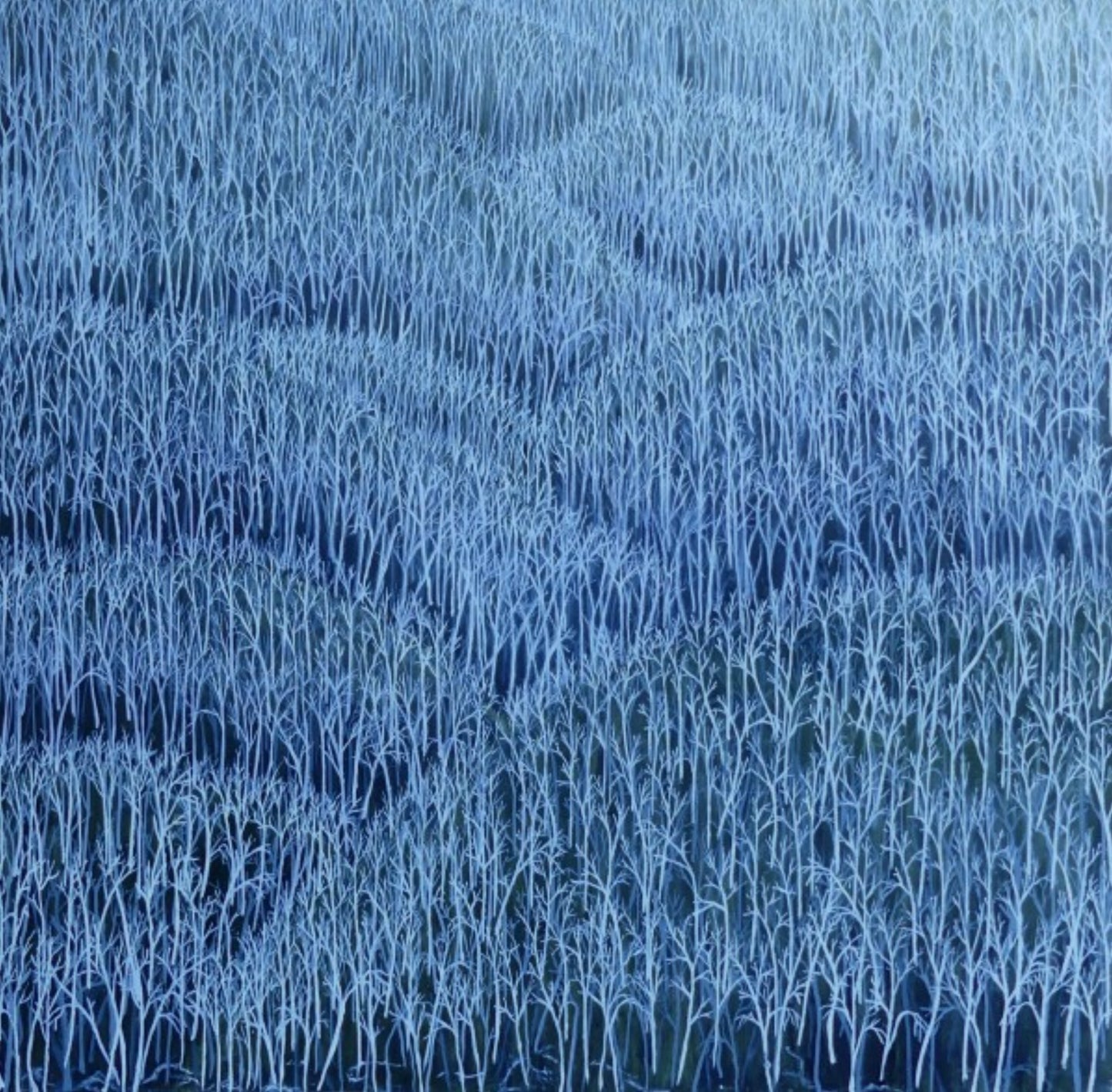 Untitled #3 | Shunyam Smith