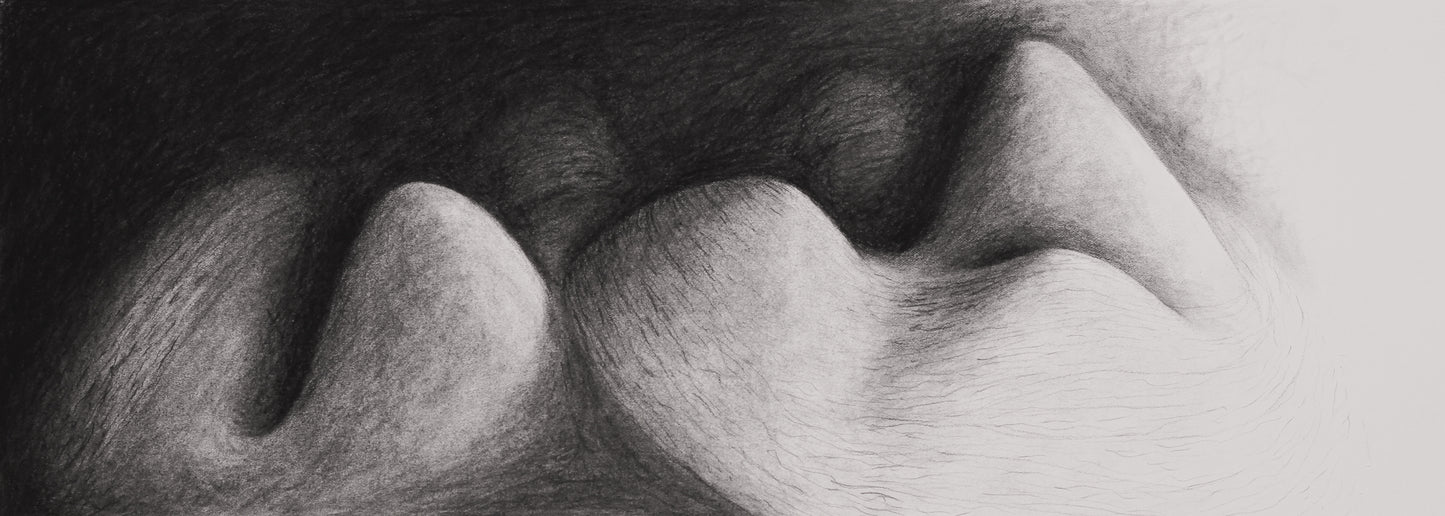 Surface & Form 2 | Robyn Campbell