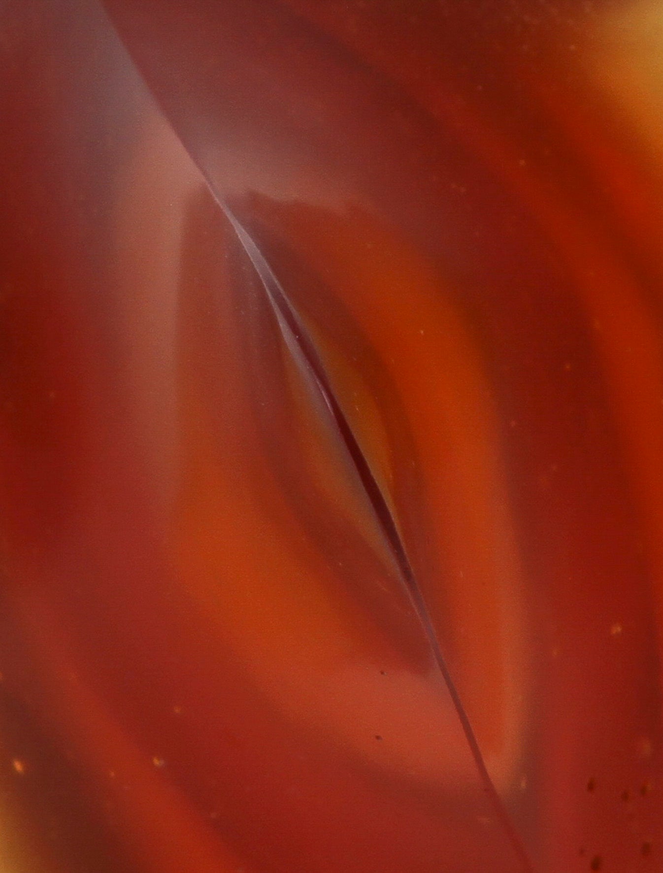 Whorl 1 | Robyn Campbell