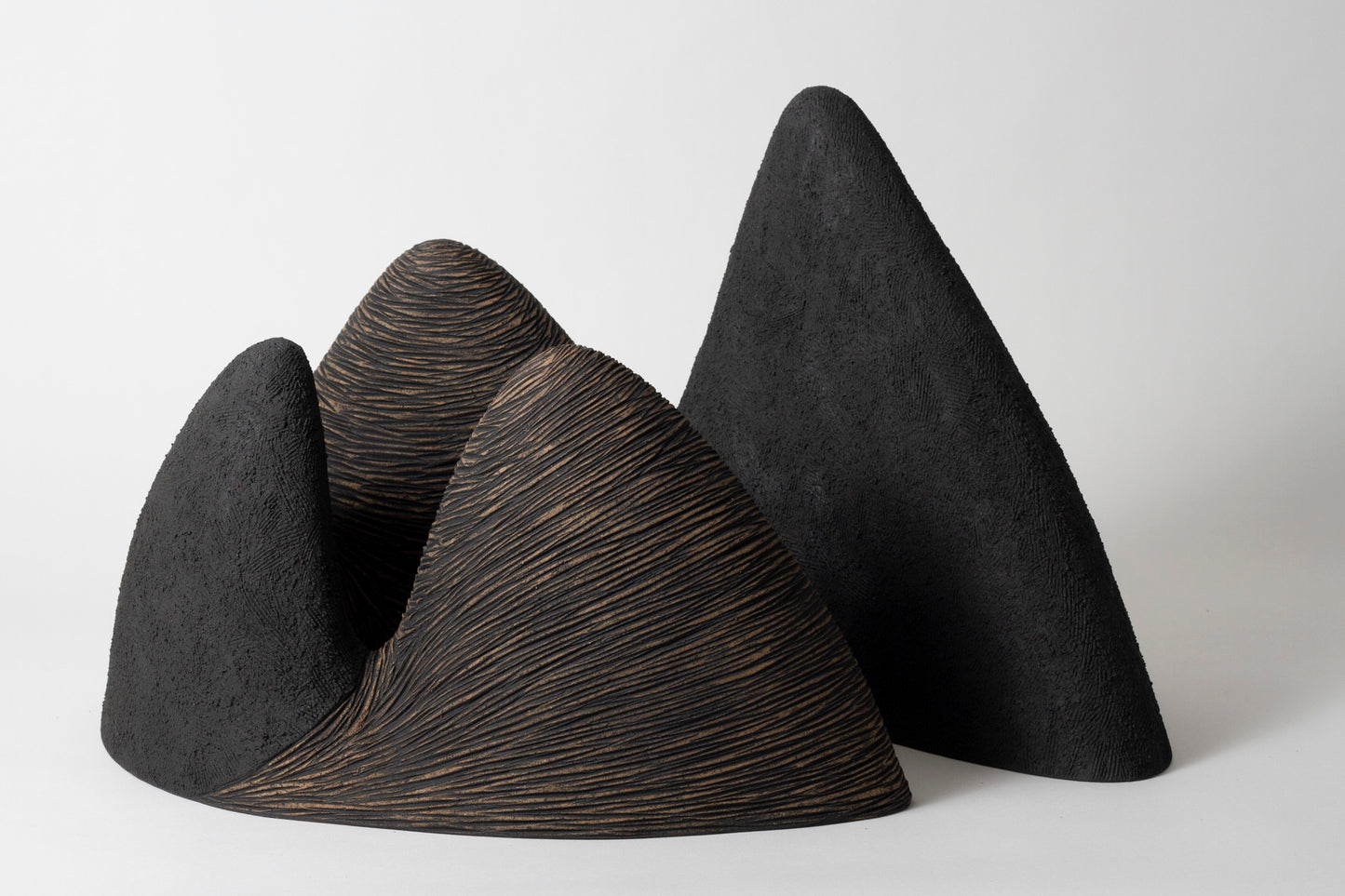 Shadow Fall 12 | Robyn Campbell