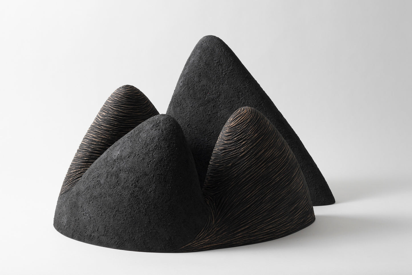 Shadow Fall 12 | Robyn Campbell