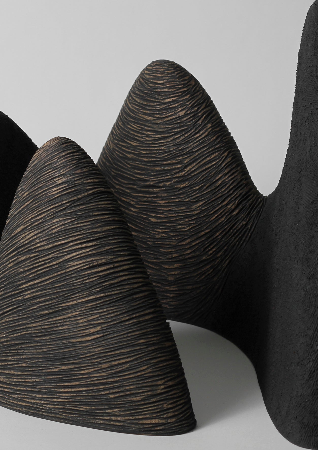 Shadow Fall 12 | Robyn Campbell