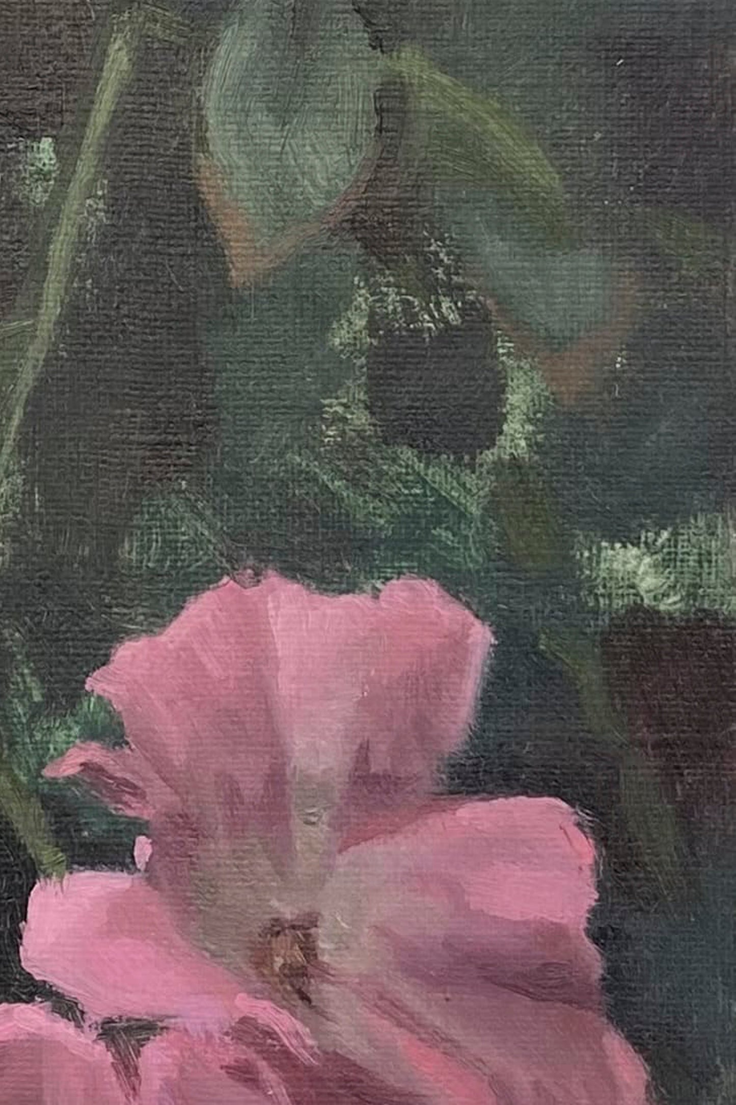 Flower Study #1 | 2024