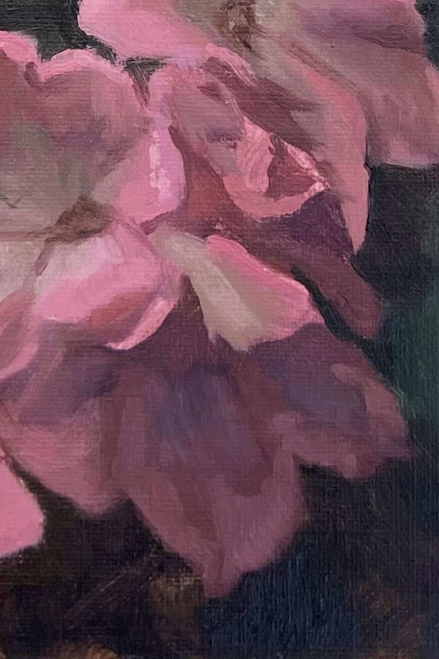 Flower Study #1 | 2024