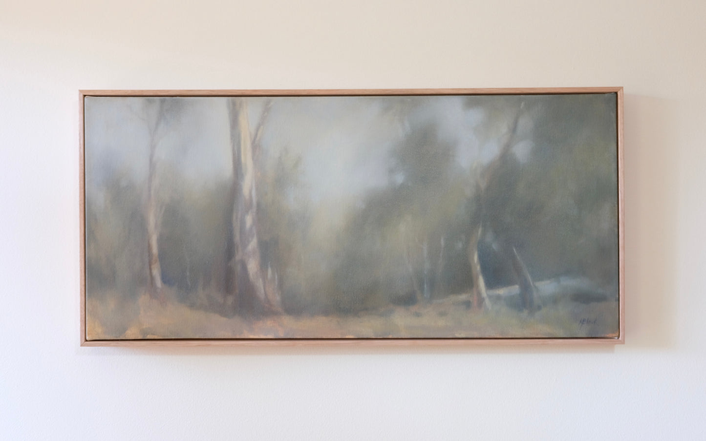 Afternoon Light | 2025
