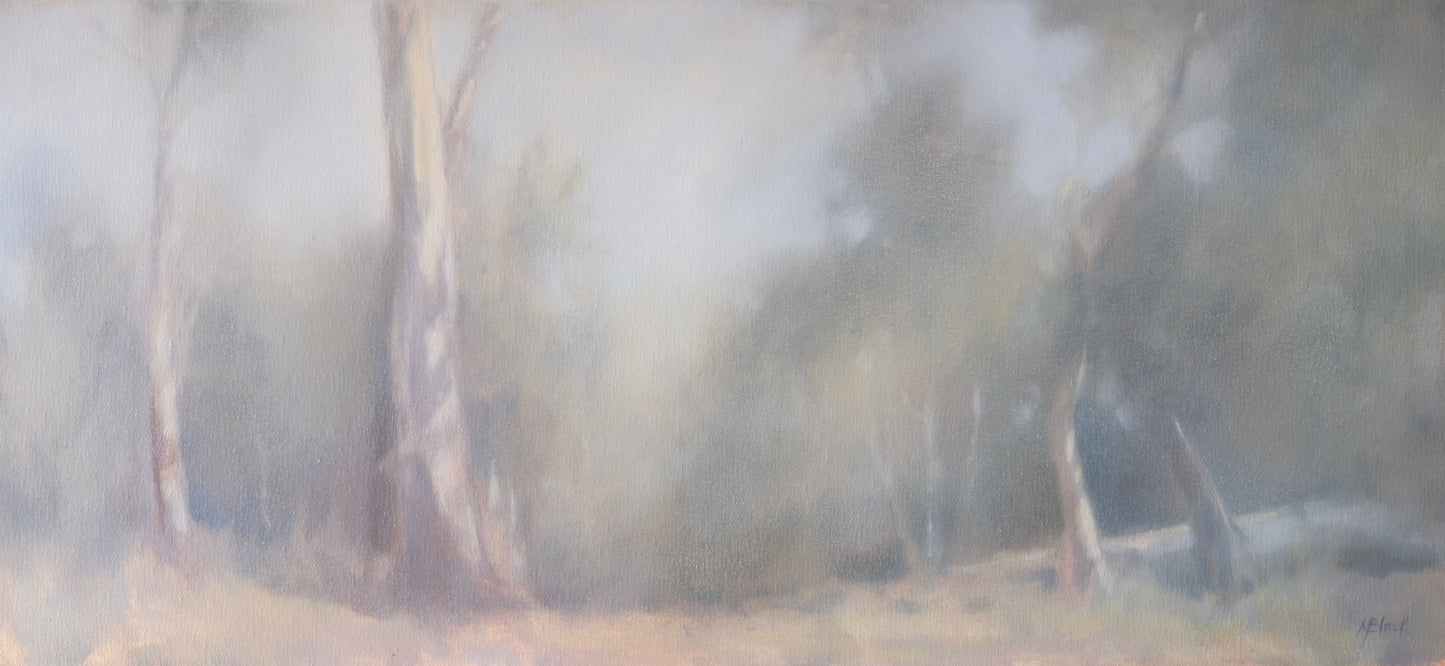Afternoon Light | 2025