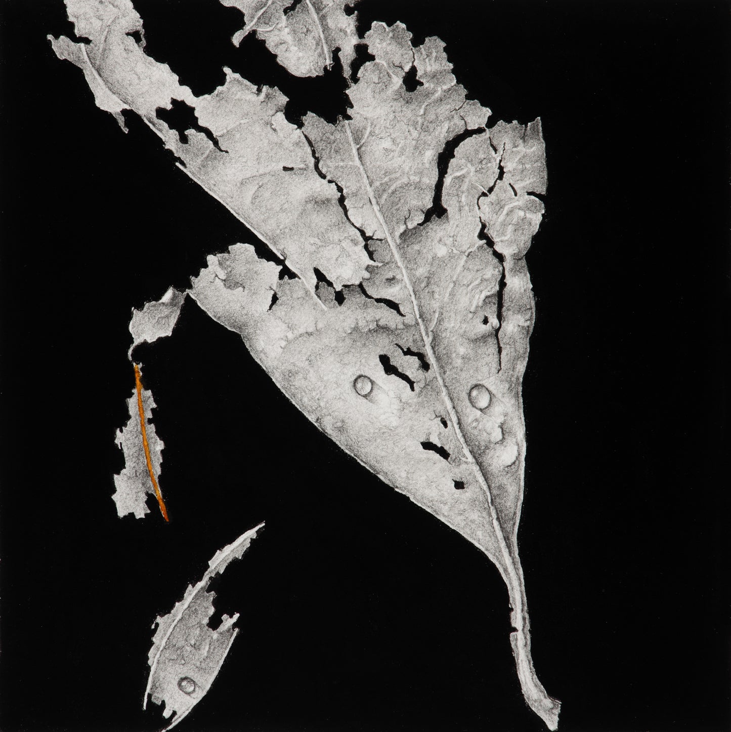 Crumbling ghosts of seasons past 2 | 2025