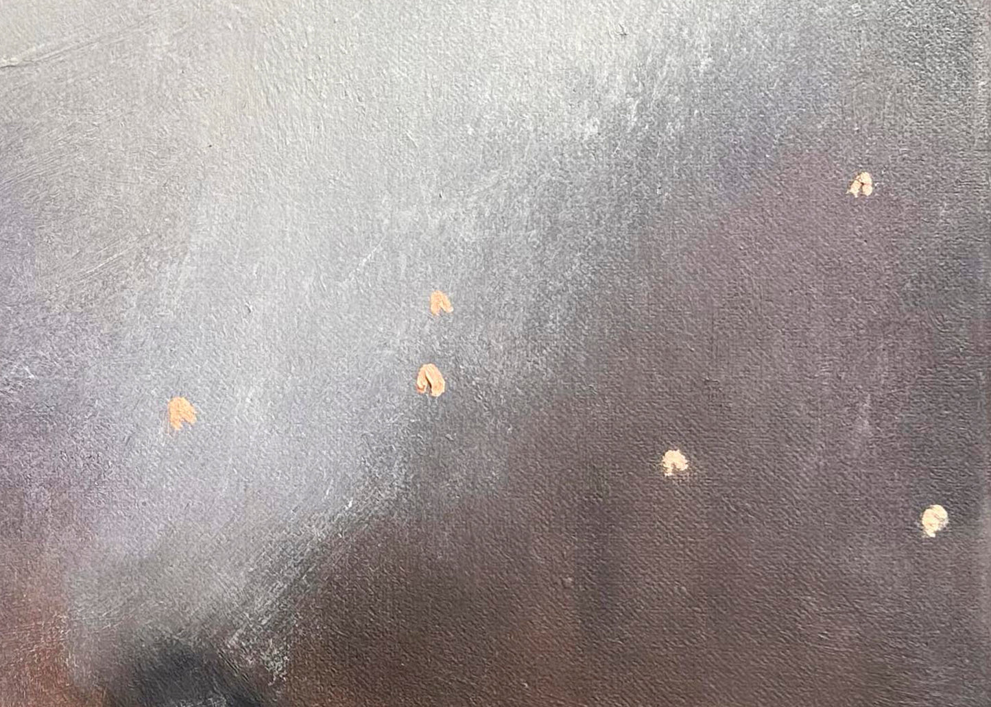 Currawong Dusk |2024