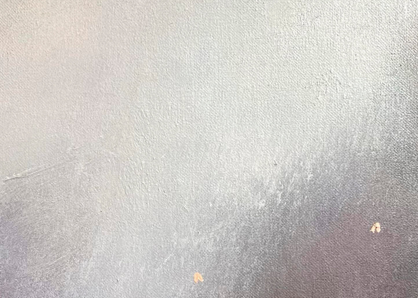 Currawong Dusk |2024