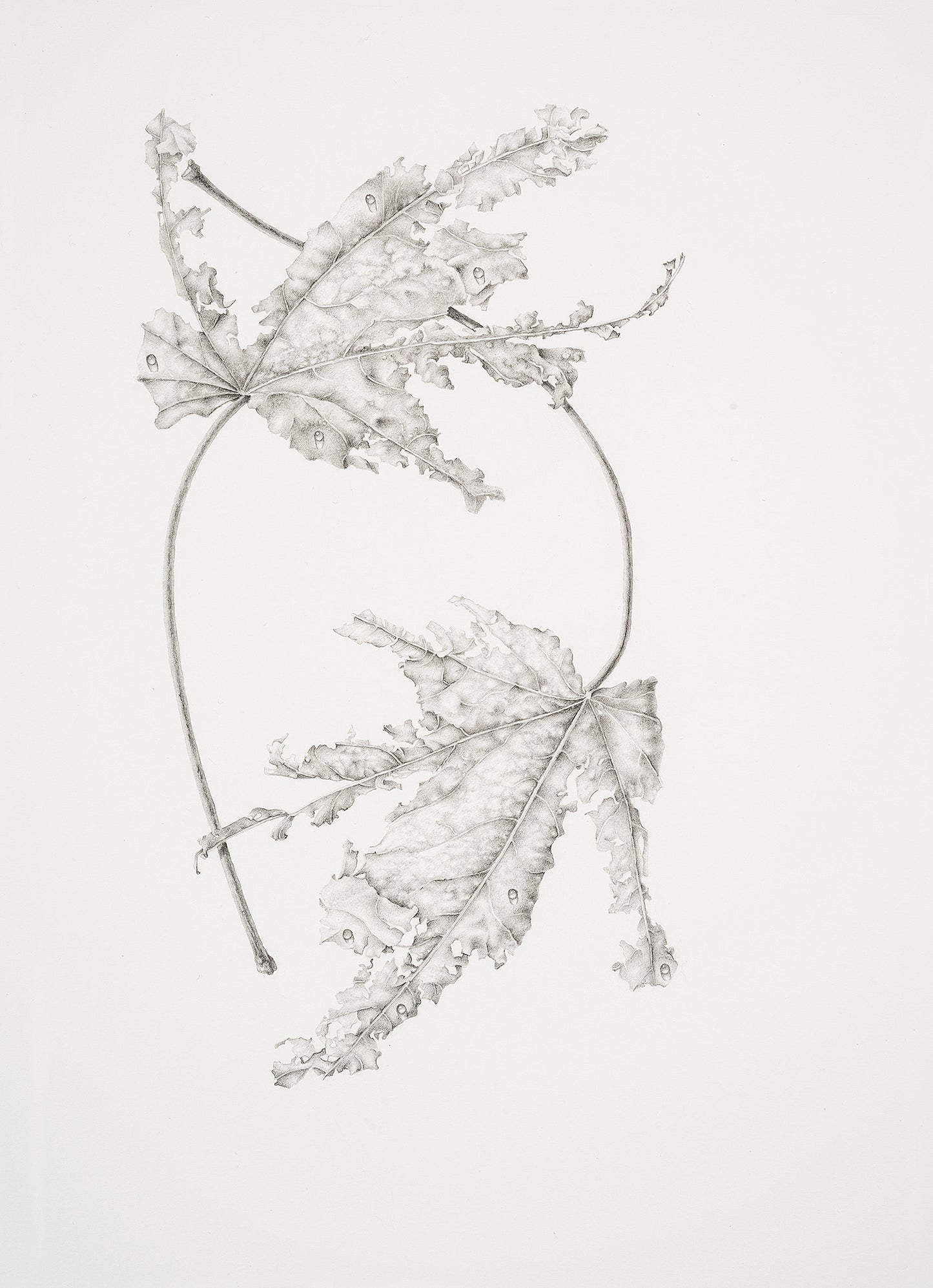 Dew...like round and orient pearls | 2022