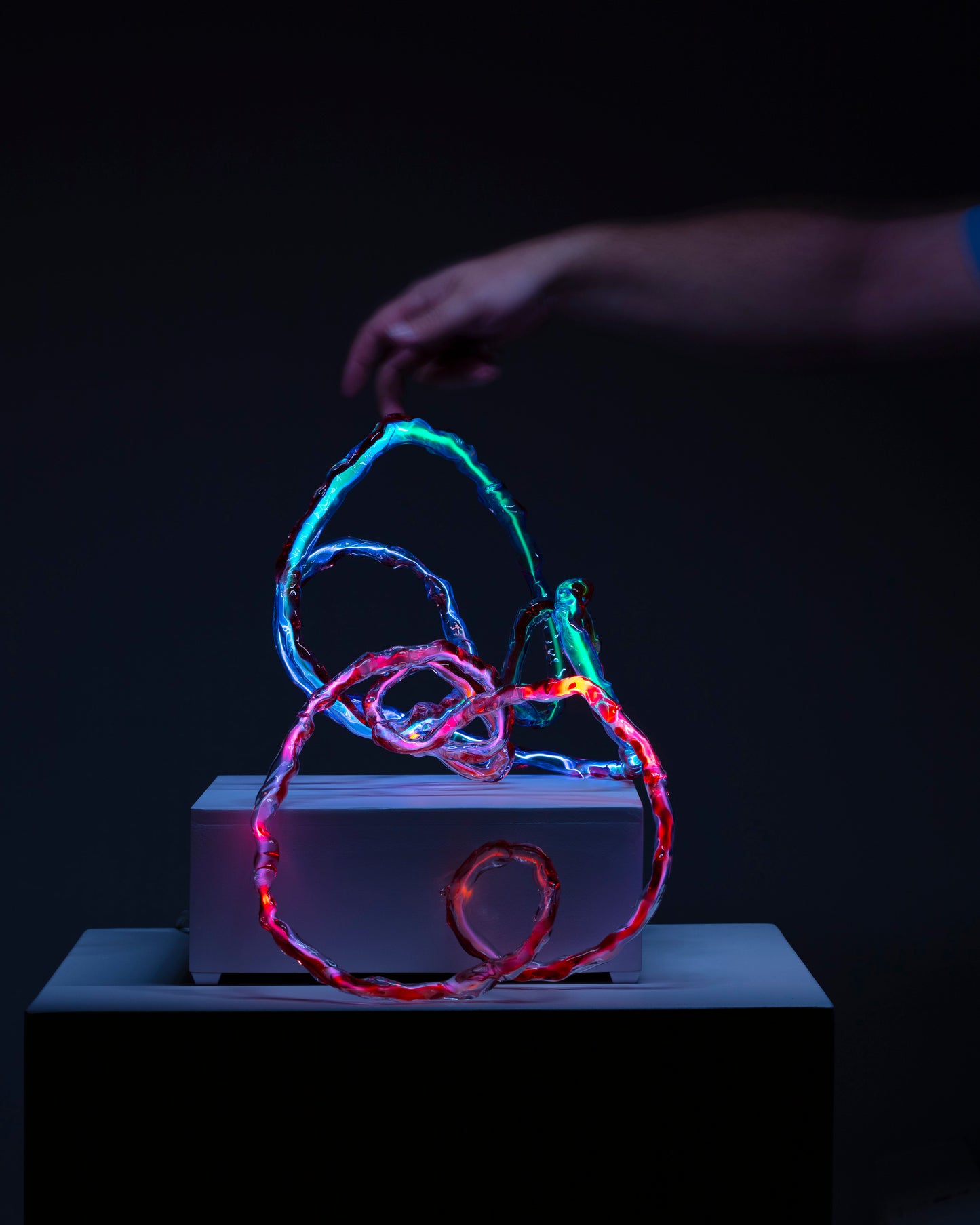 sinuous mobius pair 2 | 2023