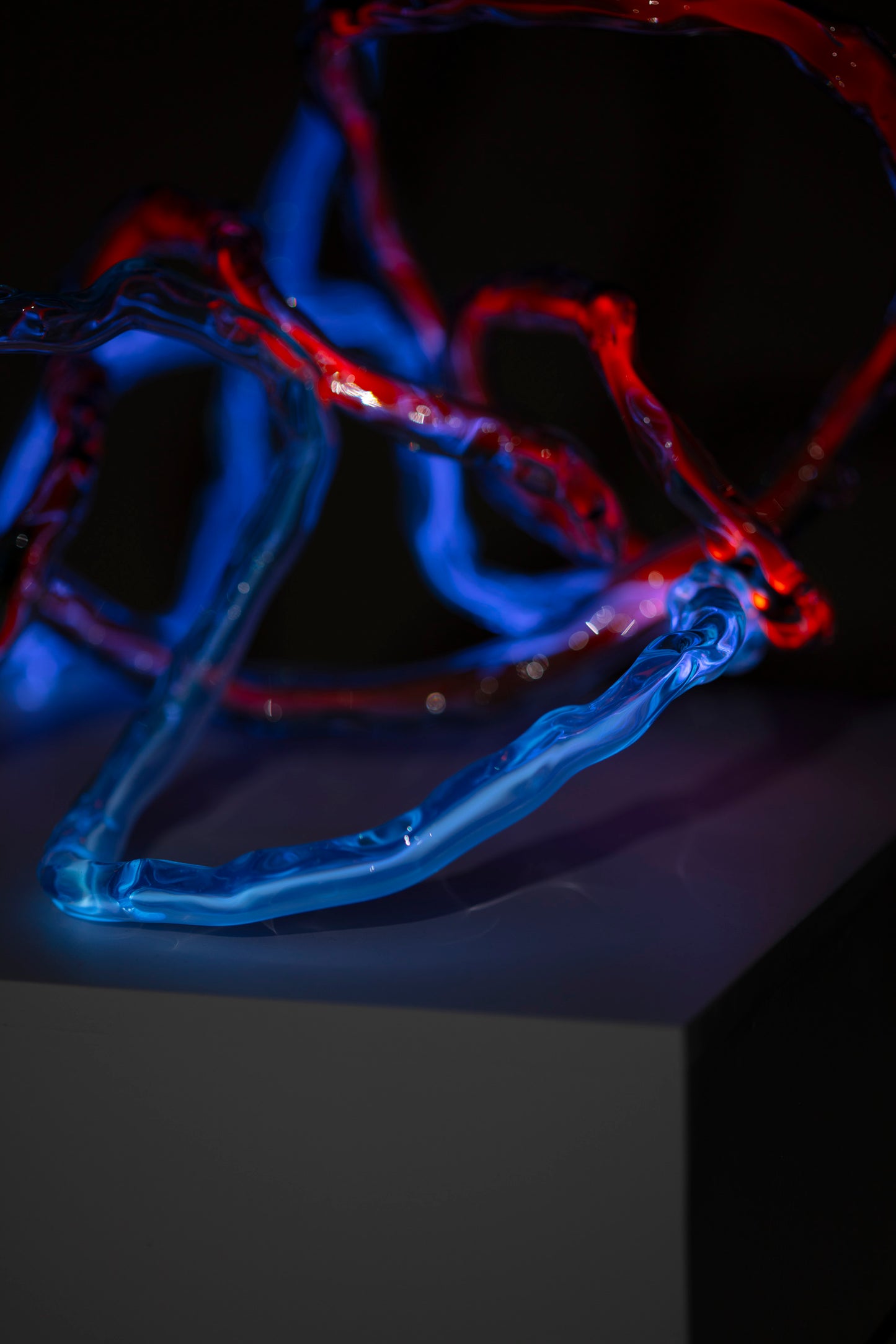 sinuous mobius pair 1 | 2023