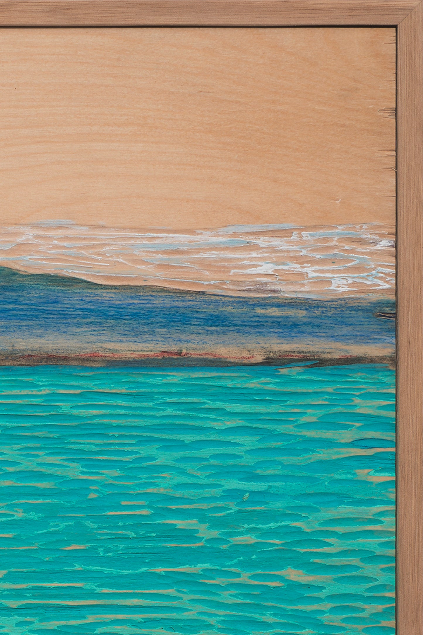 Among the Pohutakawa (Stephen's Bay, New Zealand) | 2024