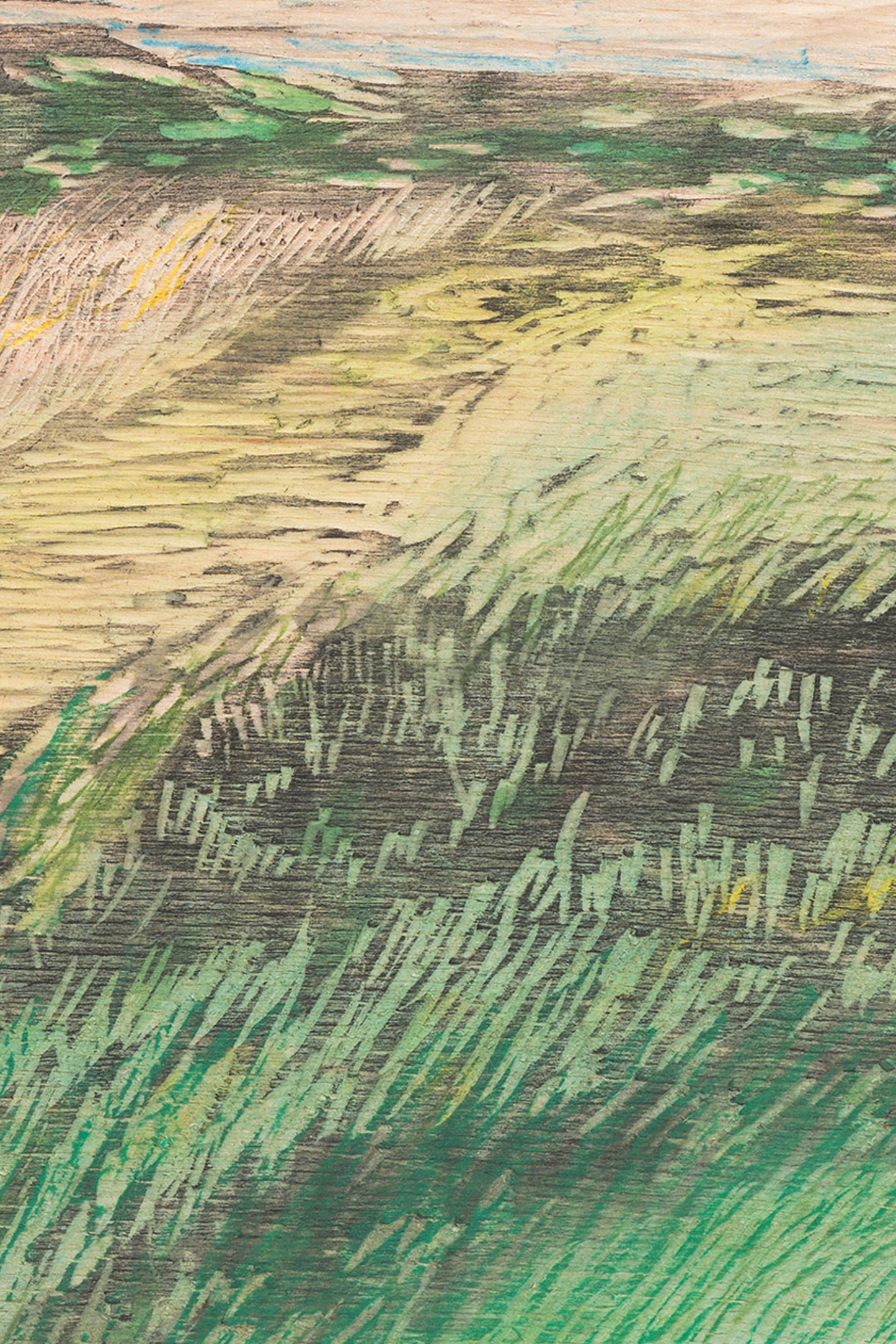Braidwood Summer (Under the Hawthorn's) | 2024