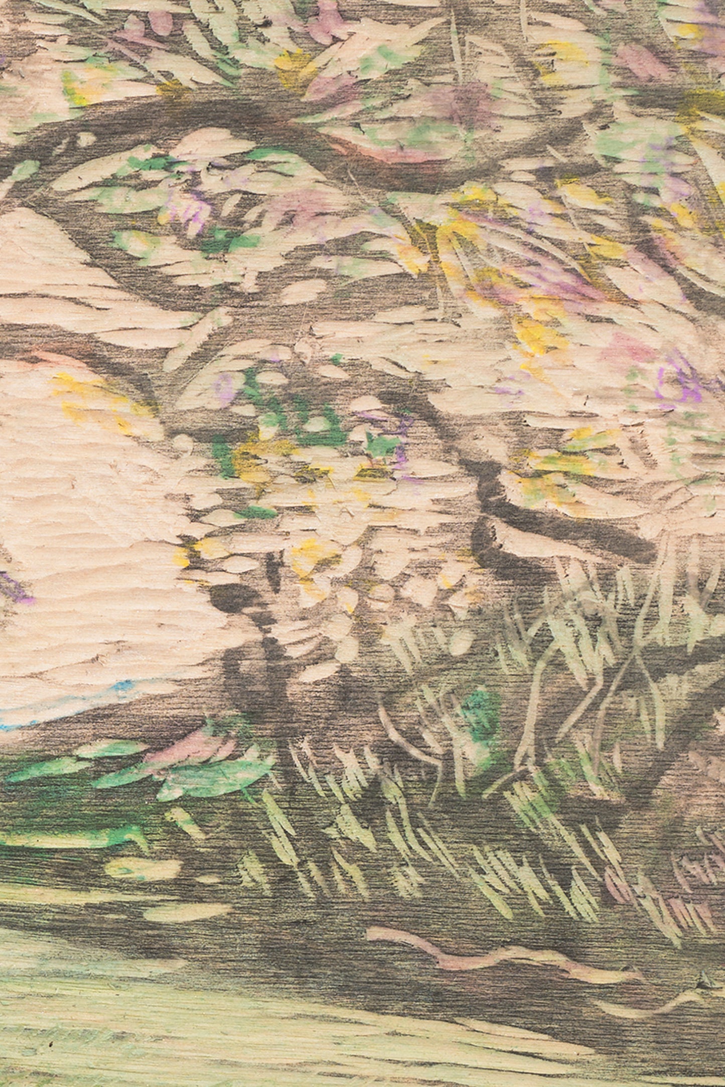 Braidwood Summer (Under the Hawthorn's) | 2024