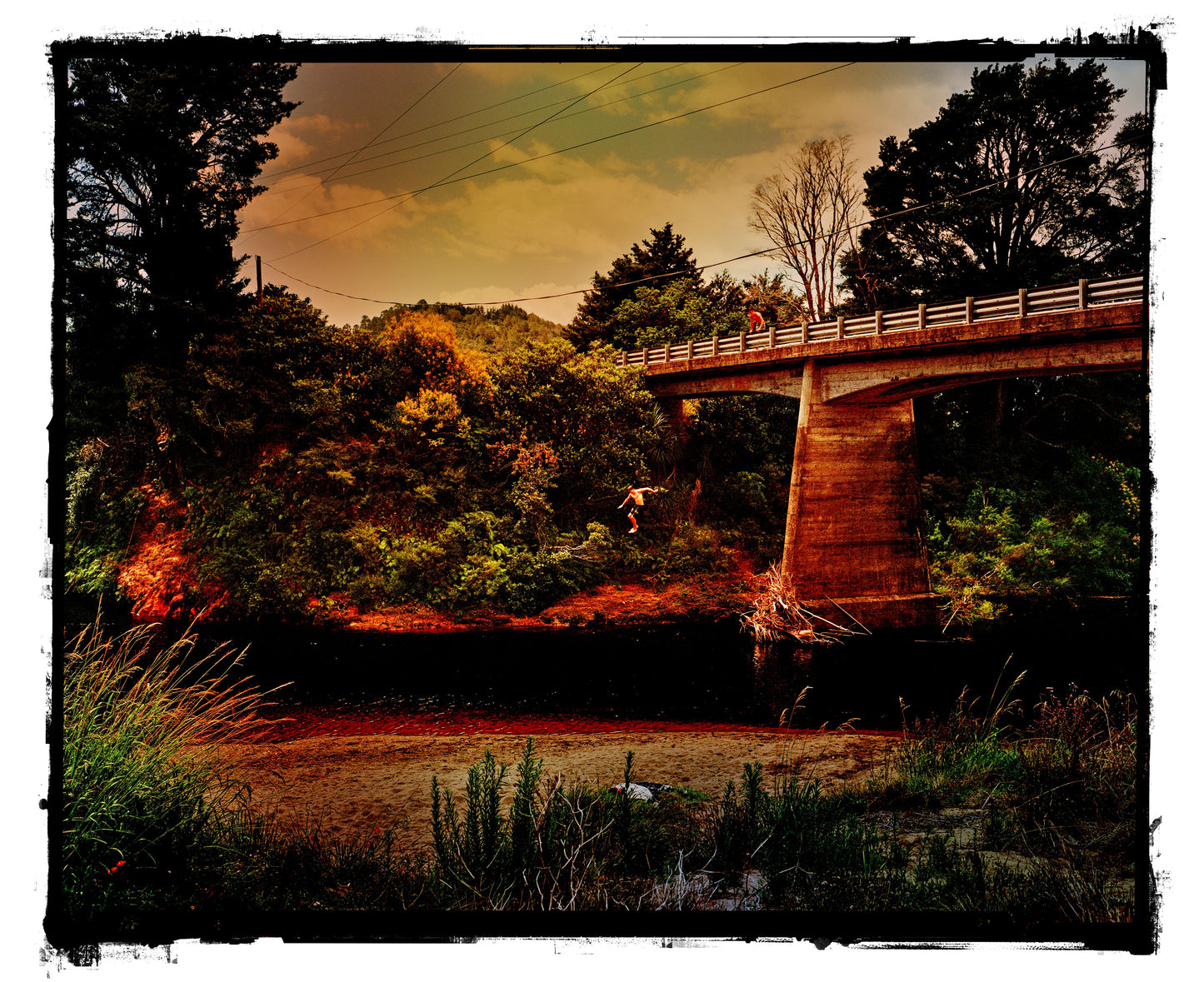 Ali Nasseri | Conventional wisdom is almost always wrong