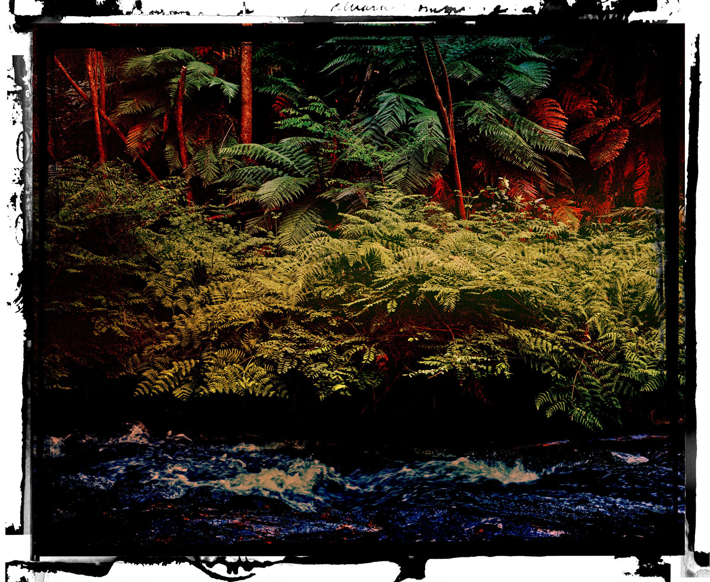 Ali Nasseri | The universe confirms everything you believe