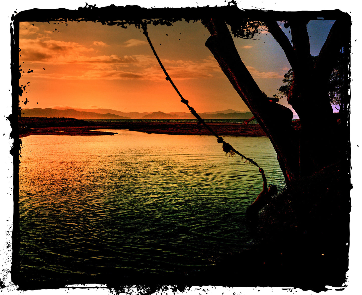 Ali Nasseri | We're better together