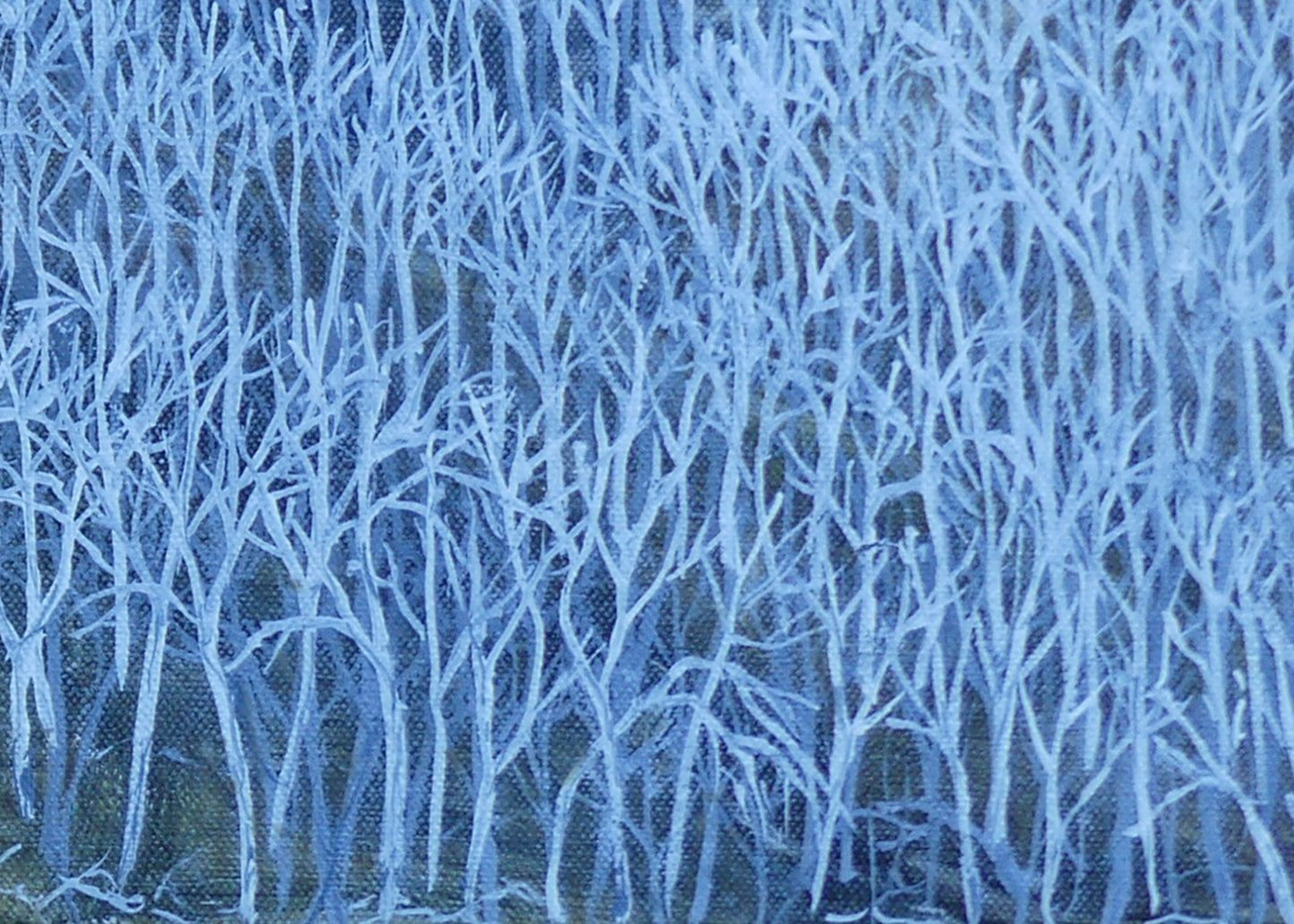 Untitled #11 | Shunyam Smith