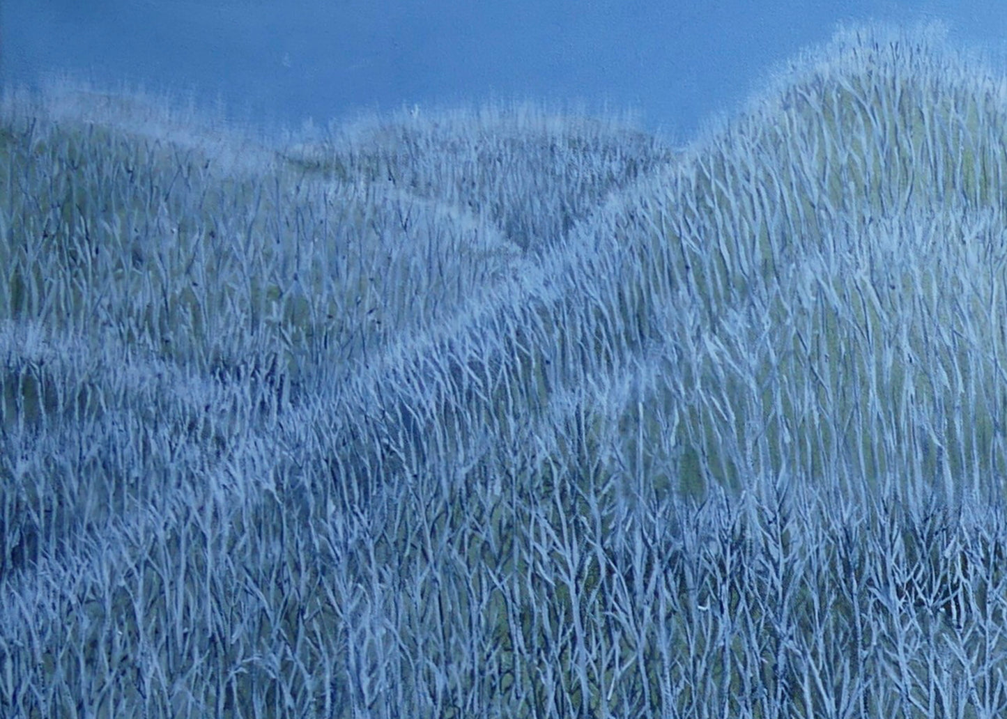 Untitled #1 | Shunyam Smith