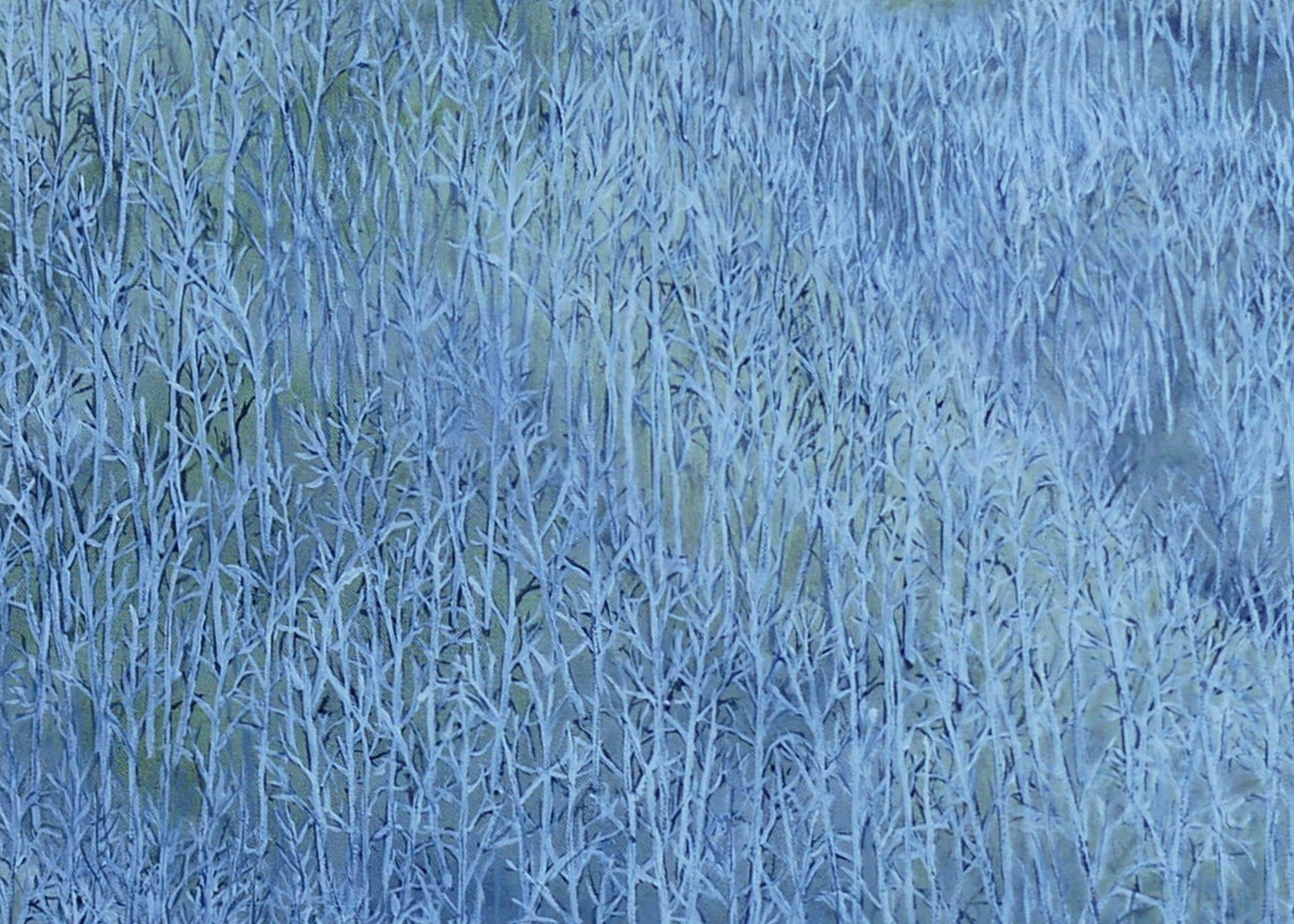 Untitled #1 | Shunyam Smith