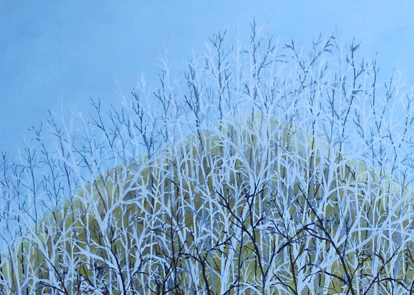 Untitled #4 | Shunyam Smith