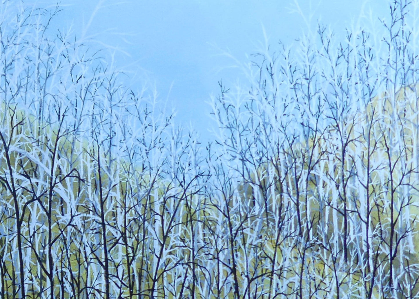 Untitled #4 | Shunyam Smith