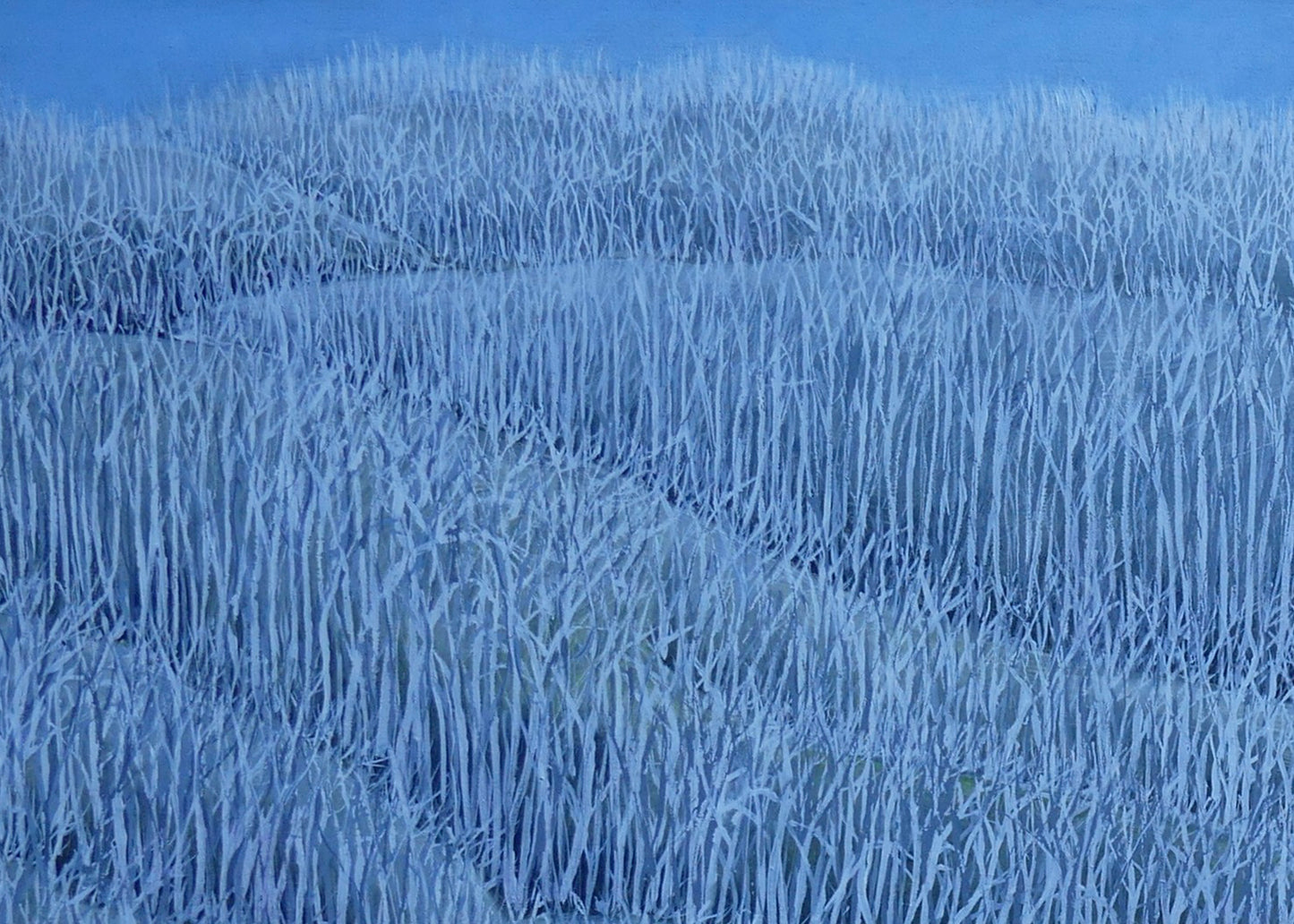 Untitled #5 | Shunyam Smith