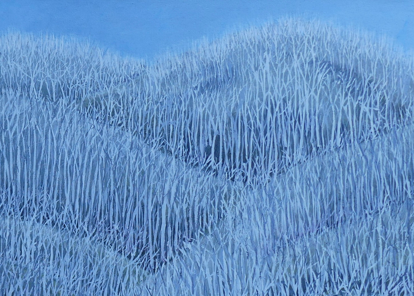 Untitled #5 | Shunyam Smith