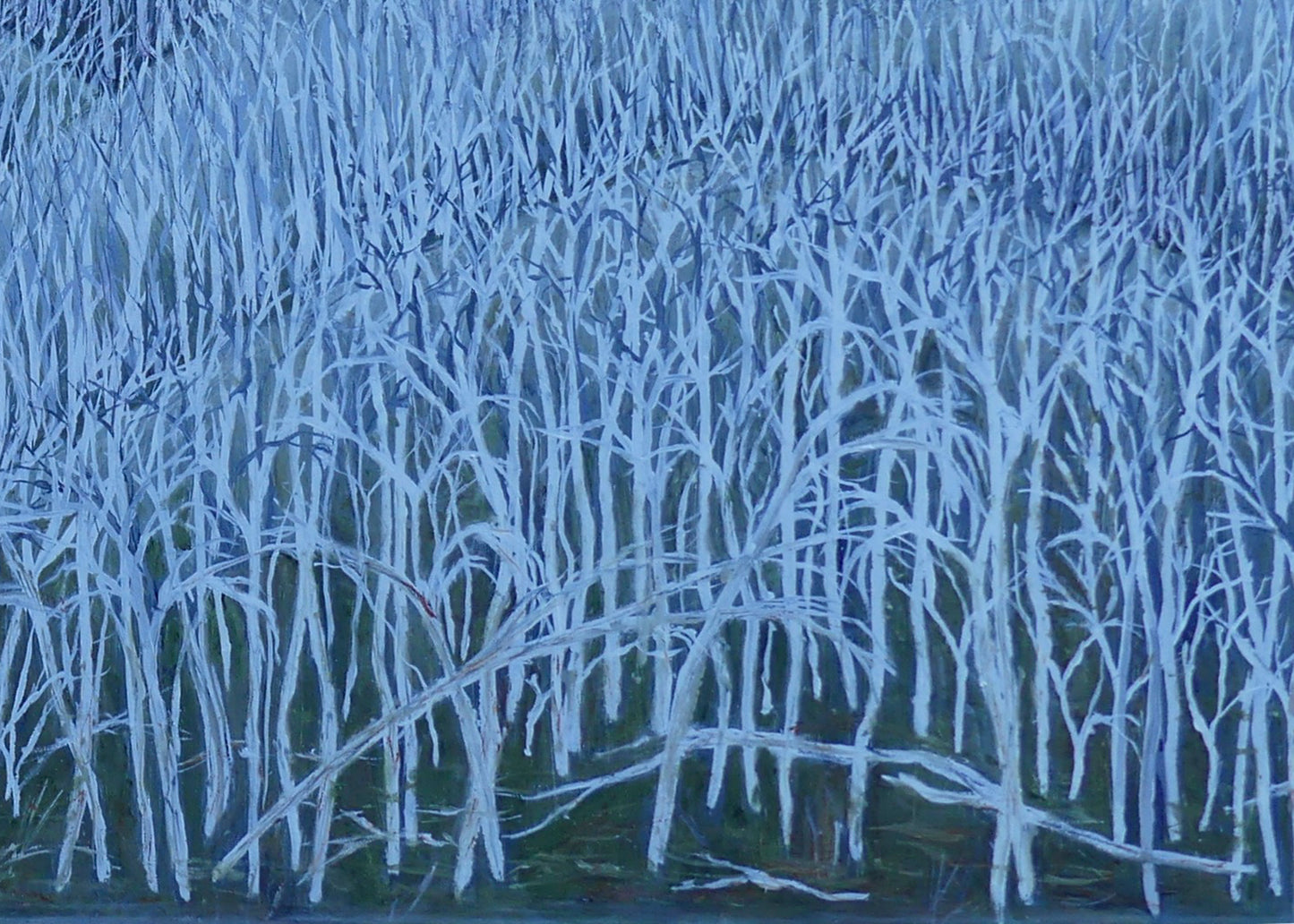 Untitled #5 | Shunyam Smith