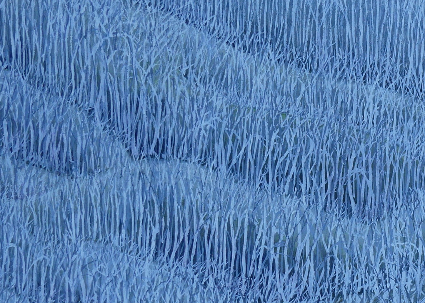 Untitled #5 | Shunyam Smith