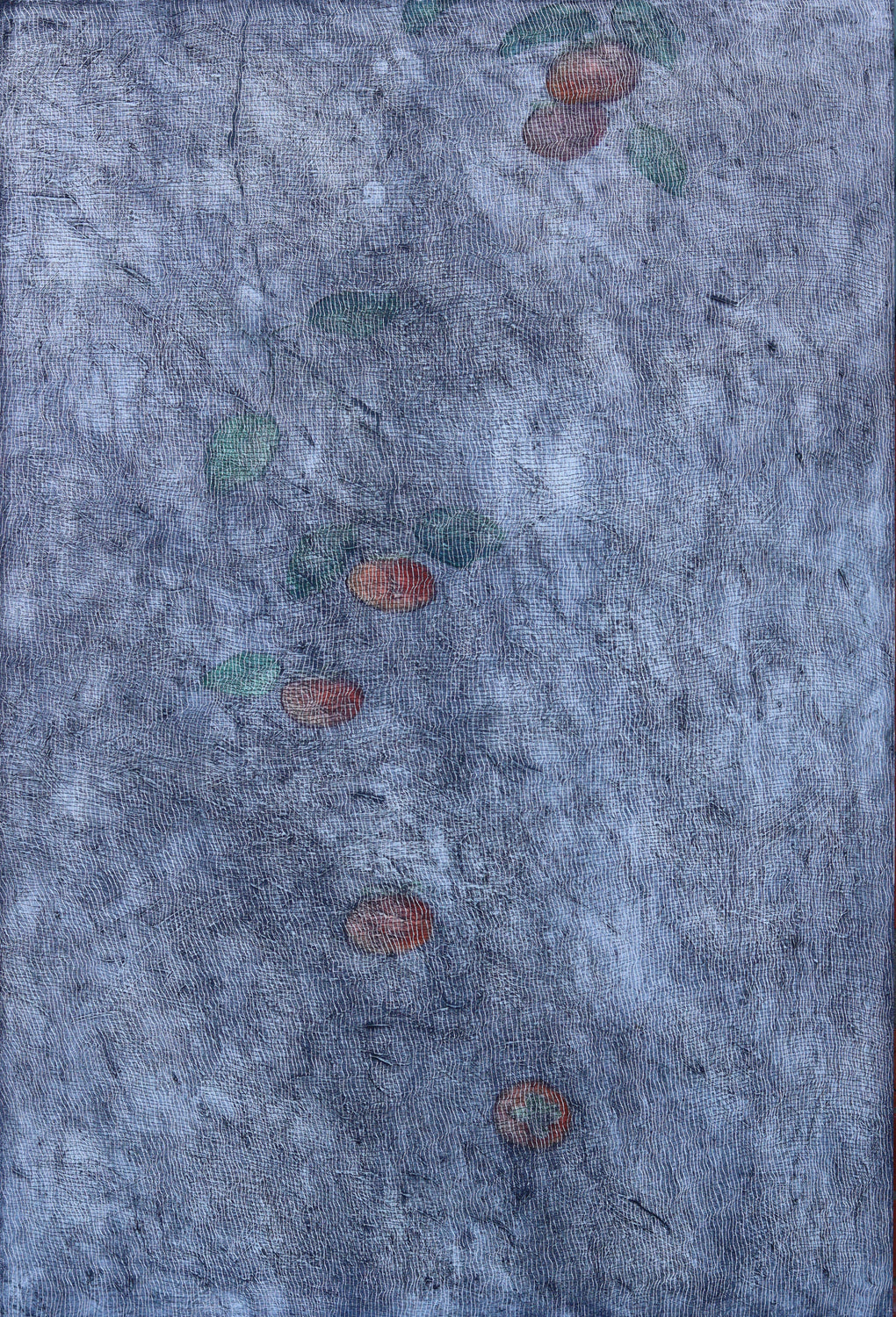 Offerings | 2024