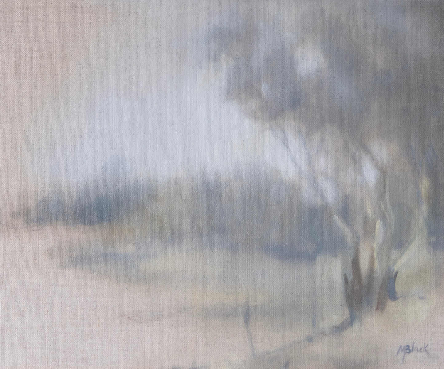 Shifting Light | 2025