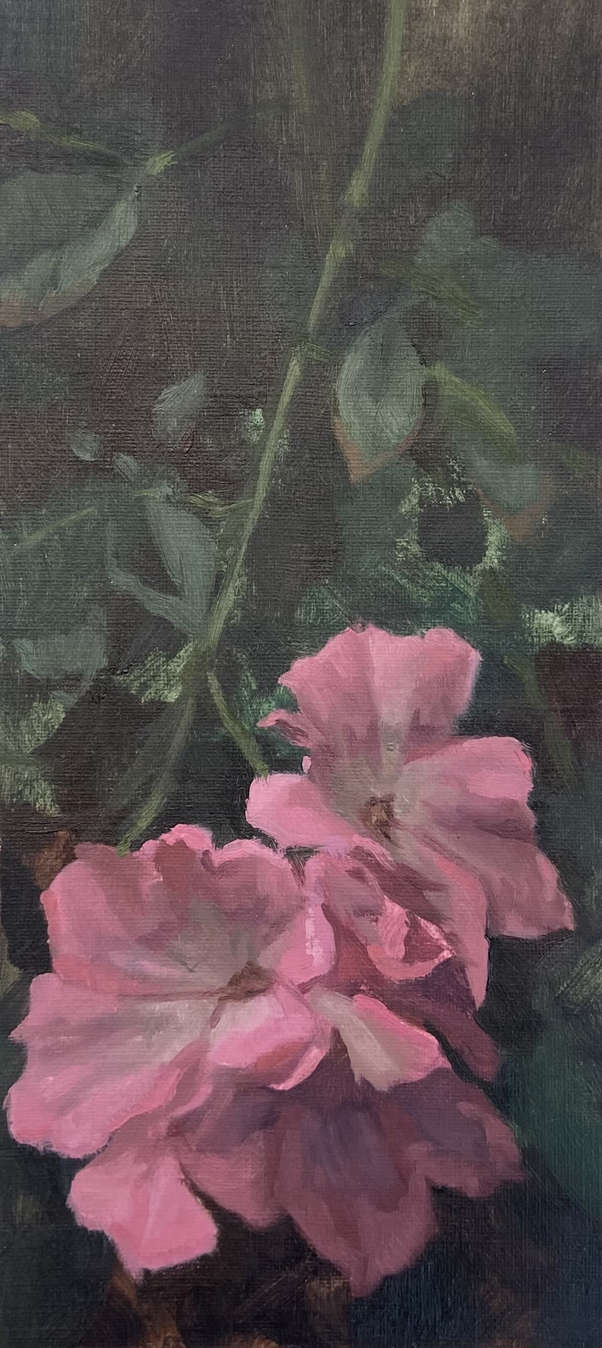 Flower Study #1 | 2024