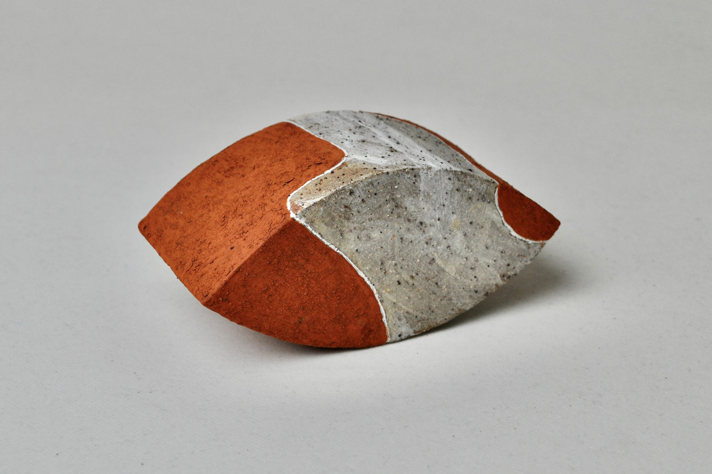 Camouflage Ellipse | 2021