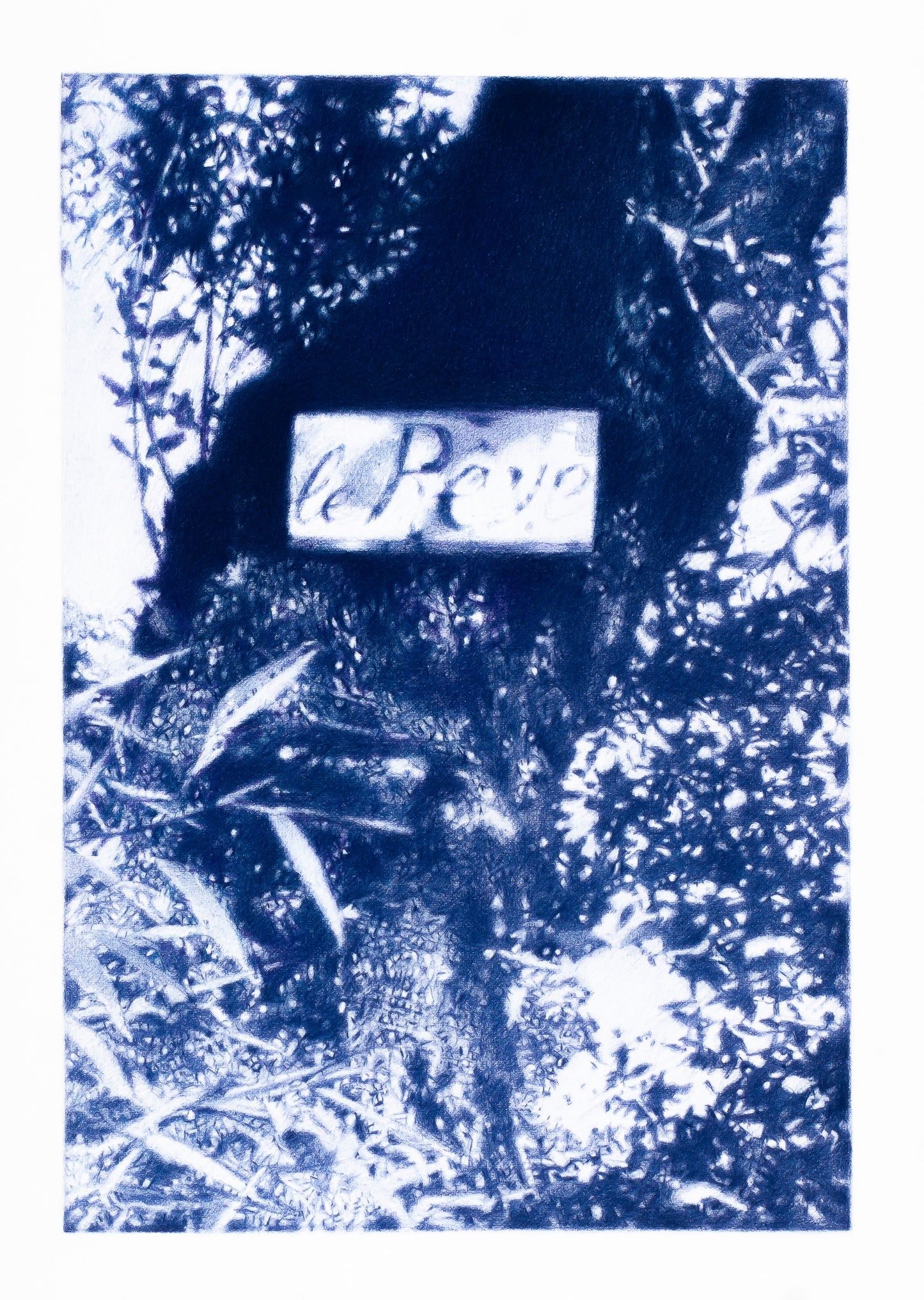 Walking to Matisse's home (Vence), 2020