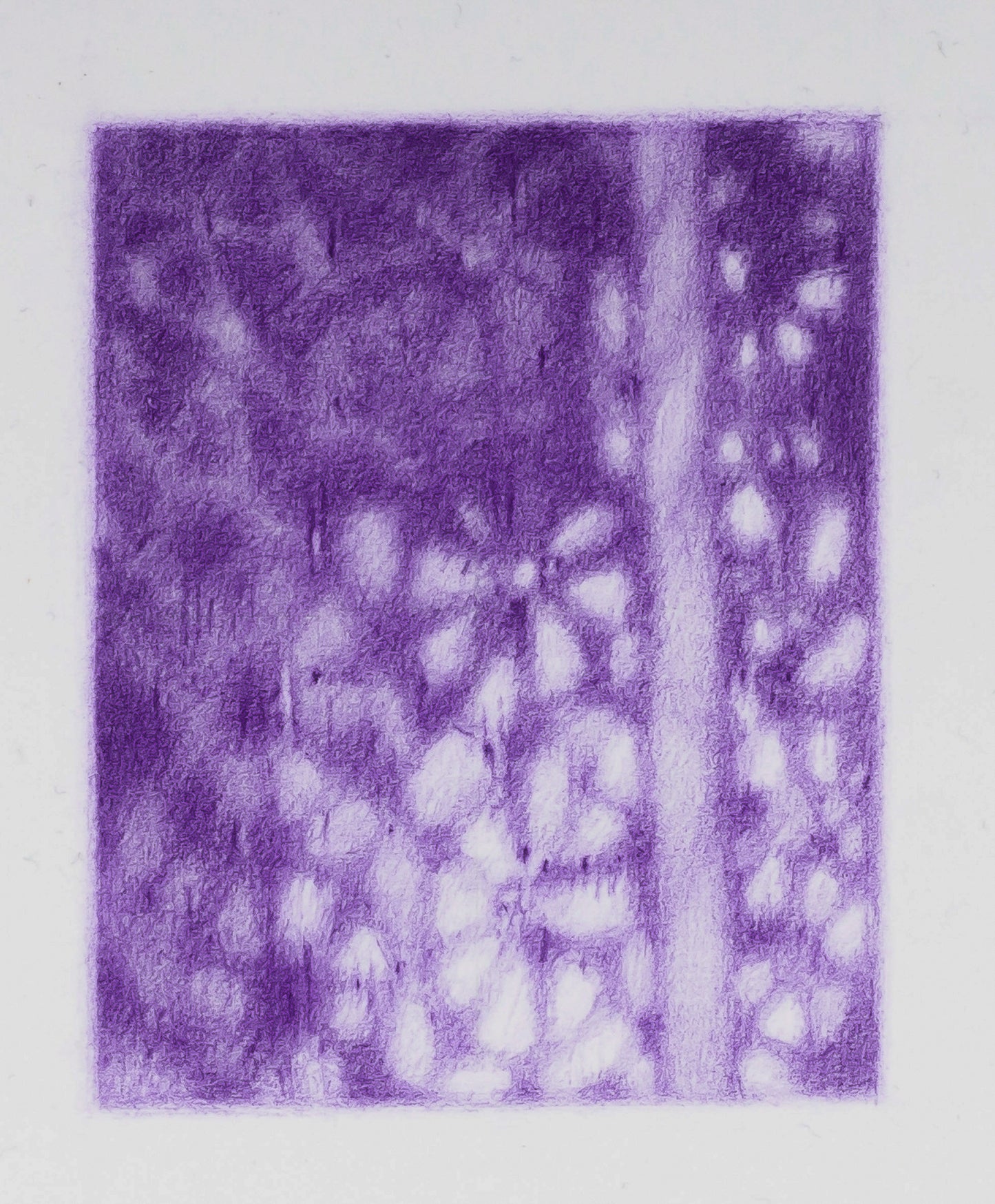 Curtain detail in Matisse's studio (Nice), 2020