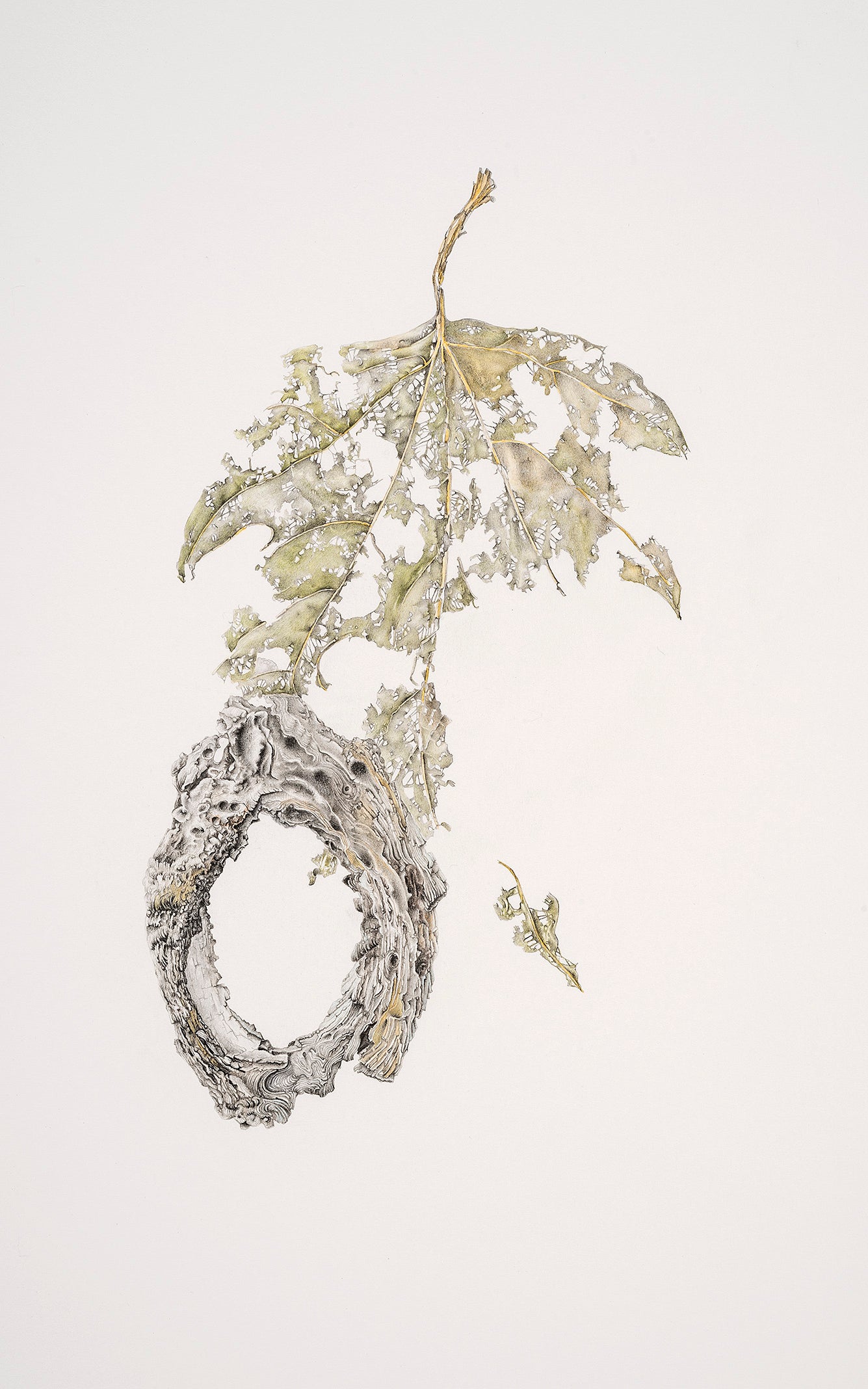 By the Heaven that bends above us  | 2020