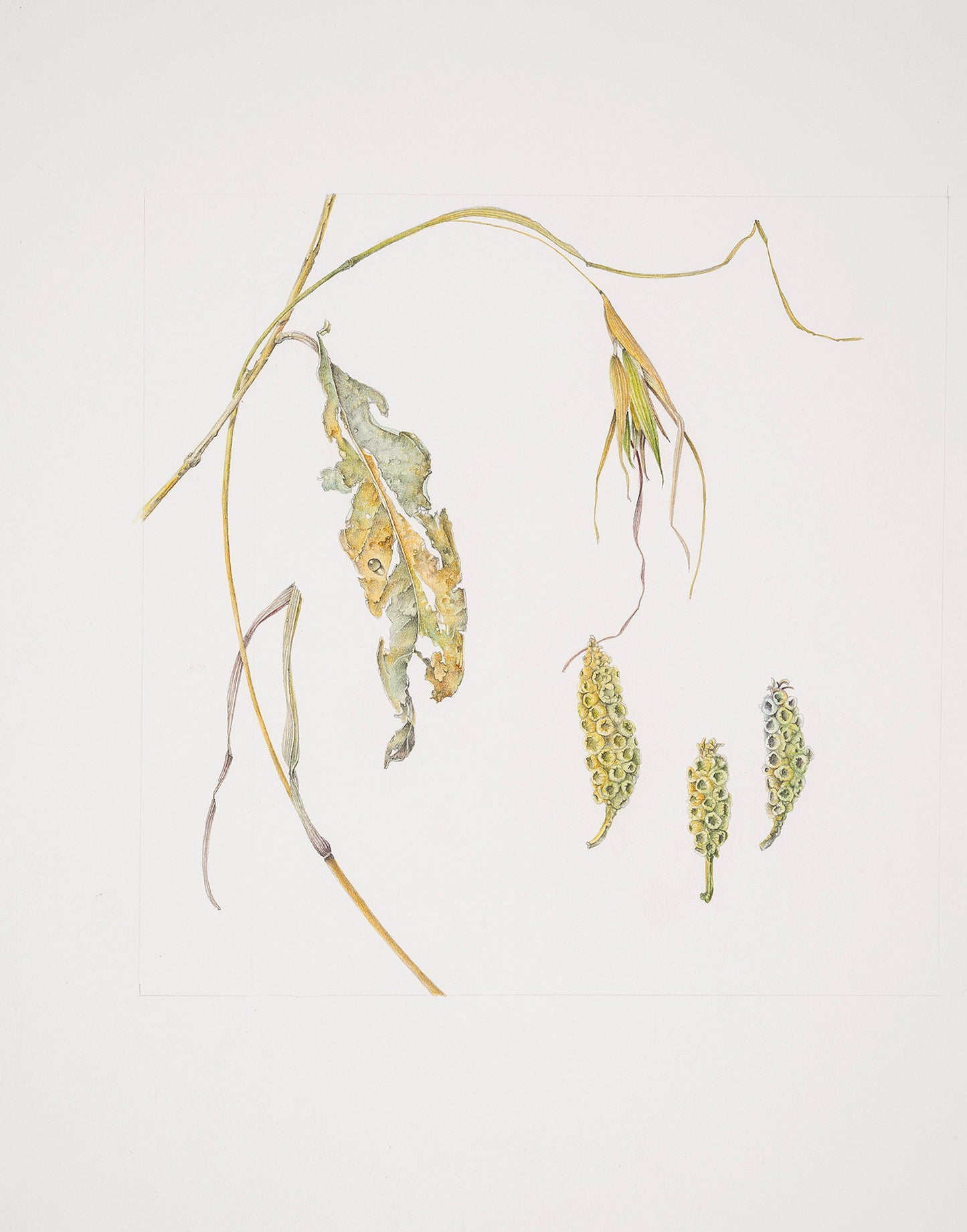 With many a flirt and flutter | 2021