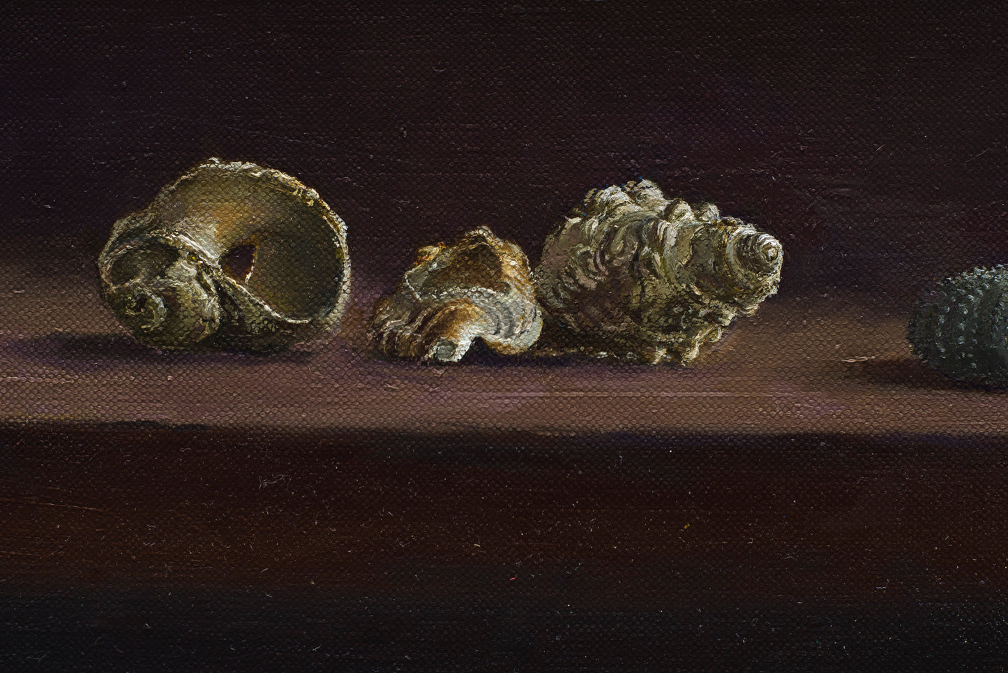 Shells, 2018