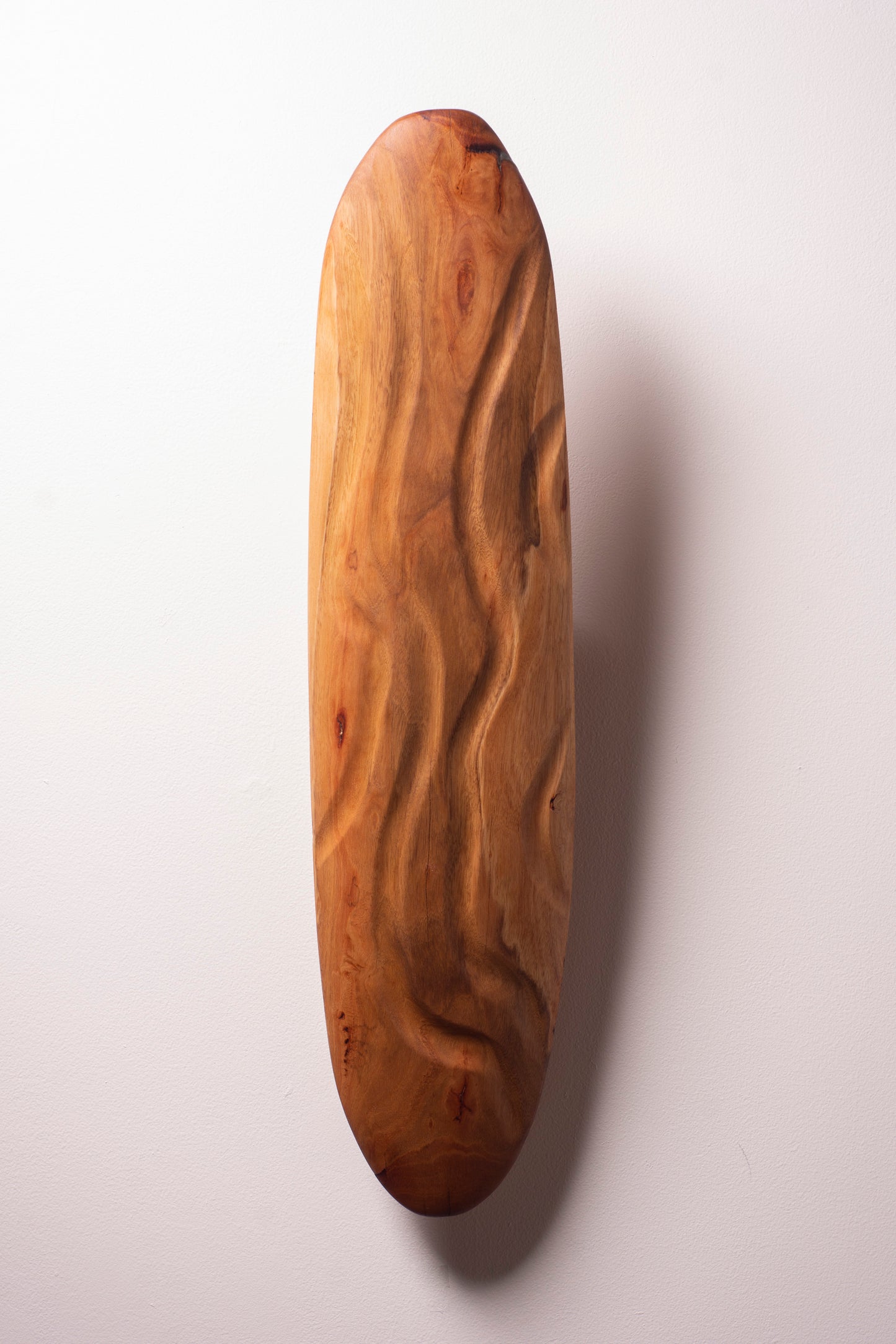 Connection to Land and Sea, 2020