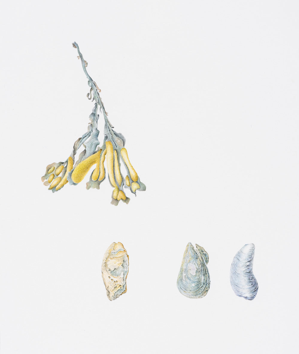 We long to comprehend our blue planet, 2018