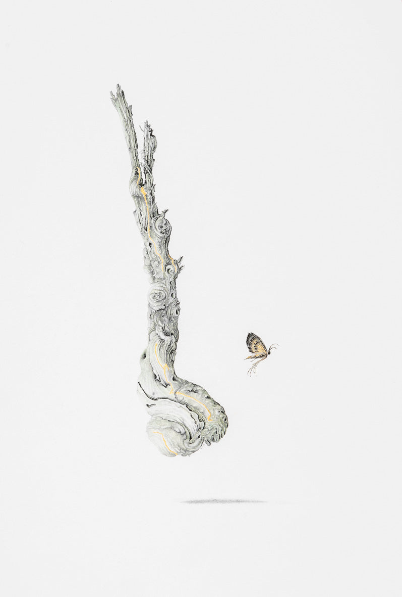 Vignette – a country of wondrous things I, 2019