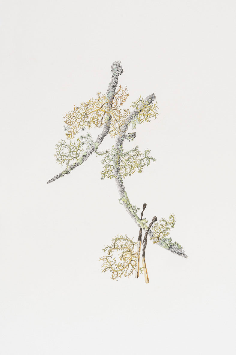 Vignette – a flame in the wind of death, 2020