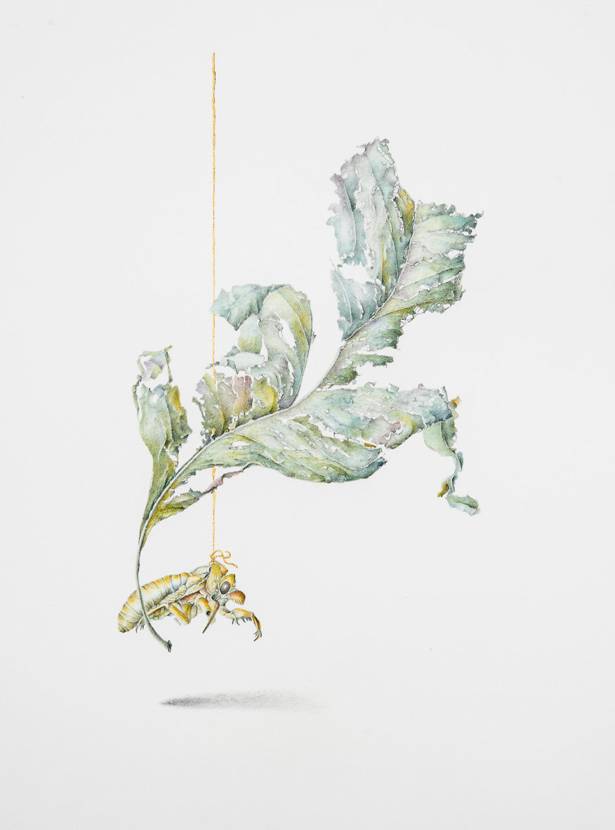 Vignette – their soft dyes have steeped my soul in colour, 2020