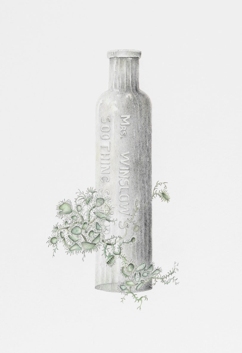 Vignette – tints of the lichens that cling and spread, 2020