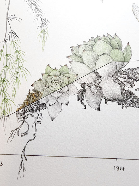 A scroll update from Sharon Field